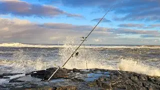 Rocky Cod session around Northumberland