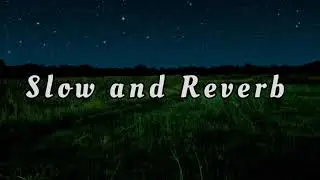 (Slow and Reverb) patli patli kamar ba uski || Lo-fi trending Hariyanvi Song || (slowed and reverb)