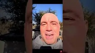 Joe rogan on Neil young