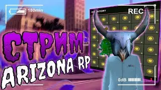 Путь к сотрудничеству с Arizona Games день 1 на Arizona RP Drake