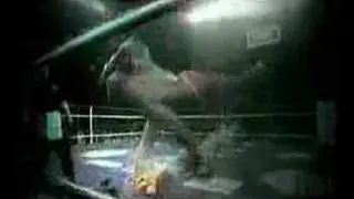 INTERNATIONAL FIGHT LEAGUE