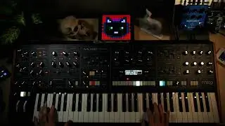 Moog Muse - JAGUAR Patch (MW MultiMod)