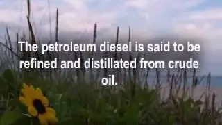 Diesel Fuel Prices Explained