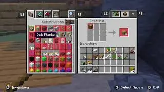 Int play Minecraft