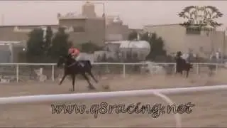 الجواد مقاطع