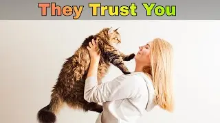 10 Signs Your Cat Feels Safest With You