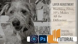 Warming Filter, 10% Makes All the Difference