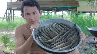 Fried Tasty Macrognathus pancalus With Ginger Recipe - Survival Time