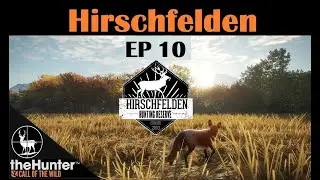 (EP10) Sommer: The Fox And The Scope | Hirschfelden Reserve | theHunter Call Of The Wild