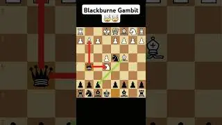 Blackburne Gambit! 🤯🤯 #chess #memes #gambit #chessgambit chessgambit