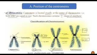 Chromosome Classification, Types