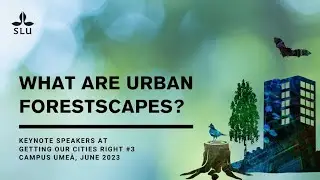 What are urban forestscapes? #Ume&aring;