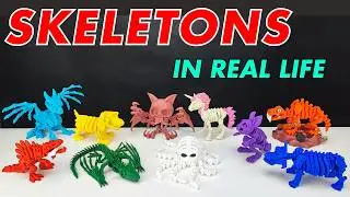 3D Printed Skeletons _ S6 | Dinosaur Skeleton