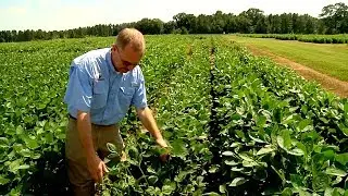 Dicamba Workshop