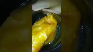 The Samosa Saga