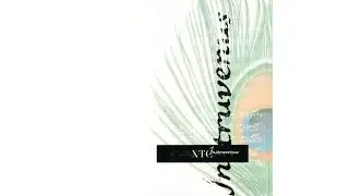 XTC - Your Dictionary (Instrumental)
