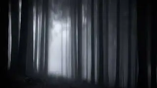 The Dark Forest | Spooky Ambient Drone Sounds