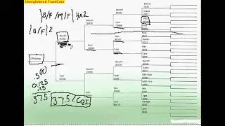 Coefficient of Inbreeding Explanation