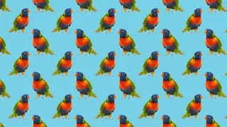 Photoshop  -Photo to Pattern  -Seamless Repeat from a Photo | How to make a seamless pattern |