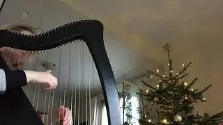 How does this harp sound? Camac Bardic, 27 strings