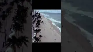 Vintage Miami Vibes 🌊 🌆 #miami #miamibeach #vintagestyle #dronevideo #japanese #citypop
