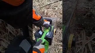 Распиловка деревьев с помощью аккумуляторной цепной пилы PROCRAFT PCA42/2 #kettens&auml;ge