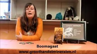 Boomagaat , De werking van, E.A.R.T.H. Mineralen Nederweert