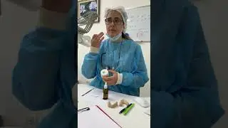 פורמולה צמחית לזירוז הריפוי והפחתת דלקת חניכיים | דר שרית אברהם