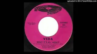 Veda - What It's All About