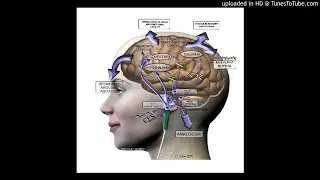 Cranial electrical stimulation (CES) : House Devices that send electrical pulses to the brain