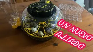 INCUBADORA NOVAEGG M12H nuestro nuevo aliado!! #ninfas #novaegg #incubadora #huevos #entrepatitas 
