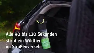 Wildunfall? Sei vorbereitet.