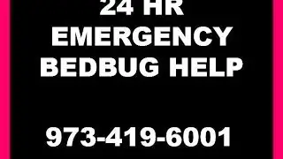 24 Hour Emergency Bed Bug Help- (862) 701-2076 - Pest Control Services NJ