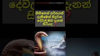 සිහිනෙන් සර්පයන් දැක්කොත් 😱🤫 #shortsfeed #tips #shorts