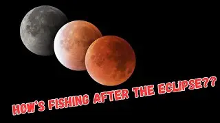 How is fishing the morning after the eclipse | Southwest Florida inshore kayak fishing