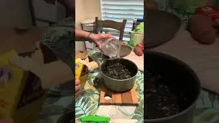 The ABSOLUTE BEST Way to BOIL Pasta to Perfection #pasta #boil #shorts