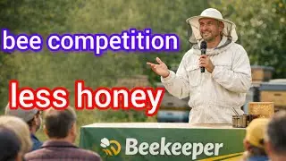 Bee Races: Apis Mellifera and the Diversity Bees