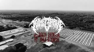 TO THE GRAVE - Offcuts EP - VISUALISER STREAM
