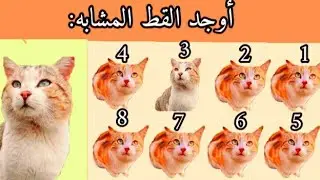 لغز للعباقرة و الاذكياء 