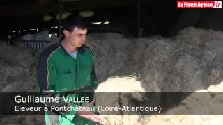 Un outil mobile de défibrage du chanvre