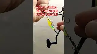 umpan minnow sinking sangat killer unt casting hampala #hampala #castinger #casting #shorts #fyp