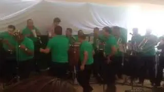 Vuelve Negra Los Originales Gatos Negros
