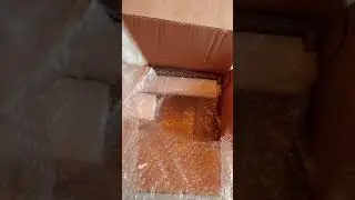 Solid Tactical Target Stand Unboxing