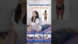 Quick Back Pain Relief | Top 3 Clinically Supported Exercises