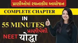 Class 11 |  પ્રાણીઓમાં રચનાકીય આયોજન|  | IN ONE SHOT  | NEET - Gujarati Medium #neet2023  #hiralmaam