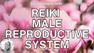 Reiki Energy Healing for Male Reproductive System