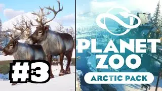 Definite Arctic-Cool! Gold Star!!! Planet Zoo Artic Pack DLC - Part 3!