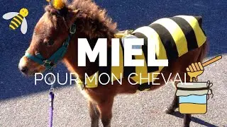 LES BIENFAITS DU MIEL POUR LE CHEVAL - (#TIPS&ASTUCES)