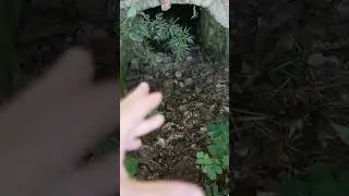Подземелье церковного придела