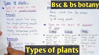 Plant And Its Types | Herb, Shrub And Tree | Class Bsc Botany
